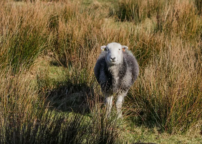 Ambwray Holiday home *